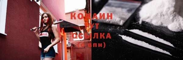 гидропоника Краснослободск