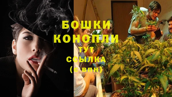 гидропоника Краснослободск